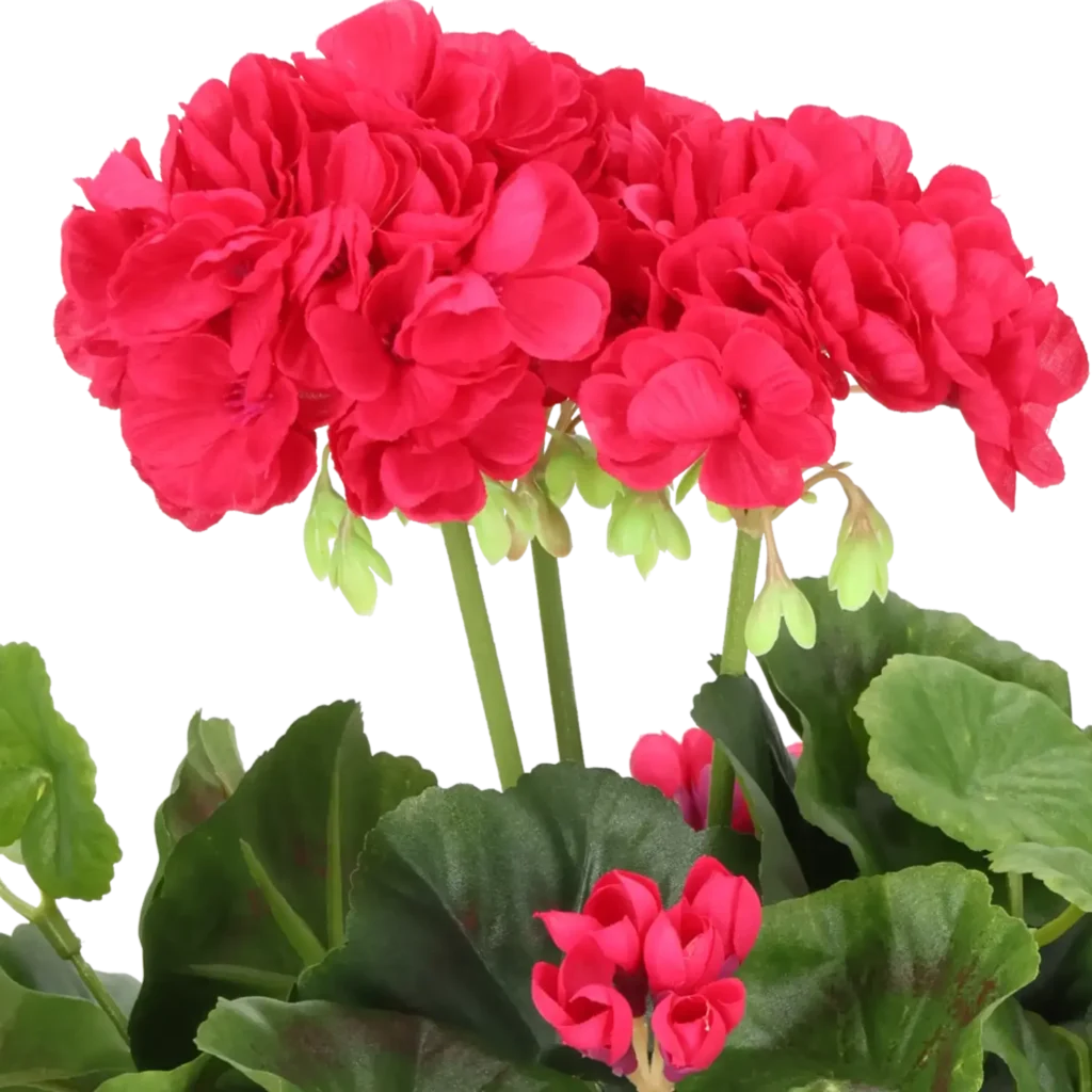Closeup af Kunstig Pelargonie H: 29 cm.