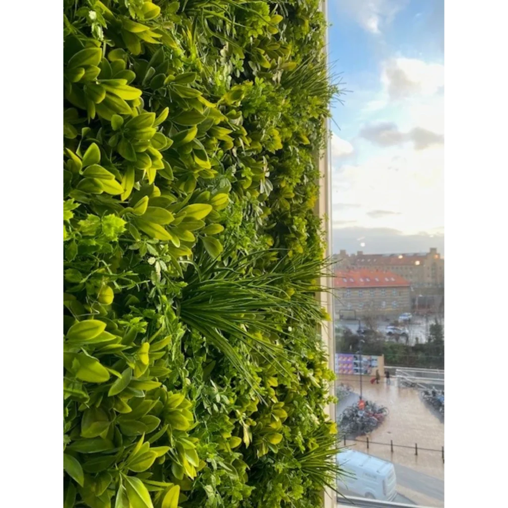 Kunstig Schefflera Måtte 50 x 50 cm.