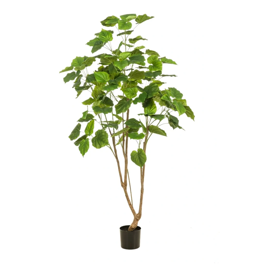 Kunstig Ficus Umbellata H: 180 cm.