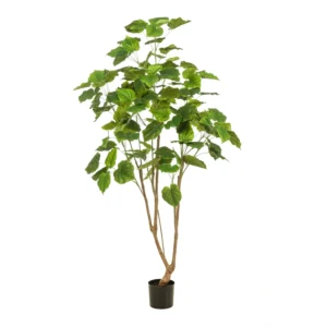 Kunstig Ficus Umbellata H: 180 cm.