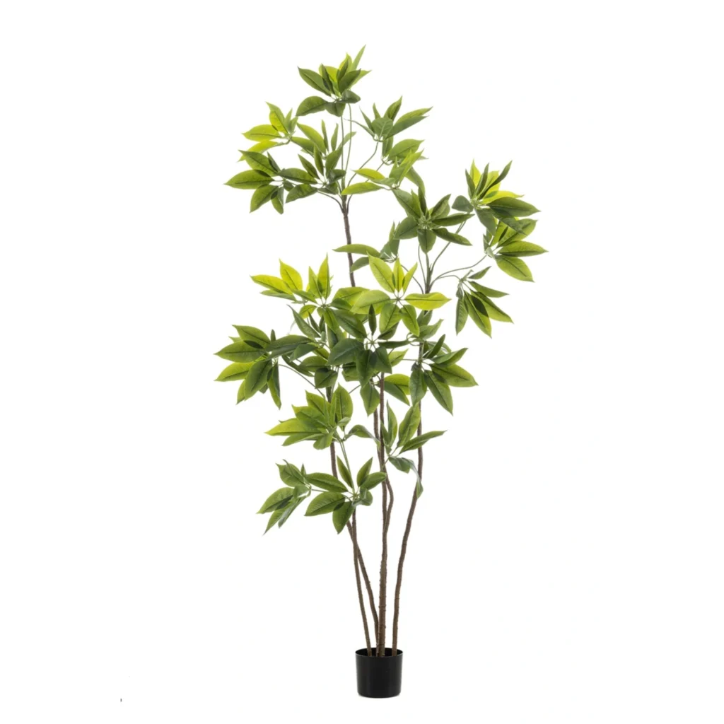 Kunstig Schefflera træ H: 195 cm.