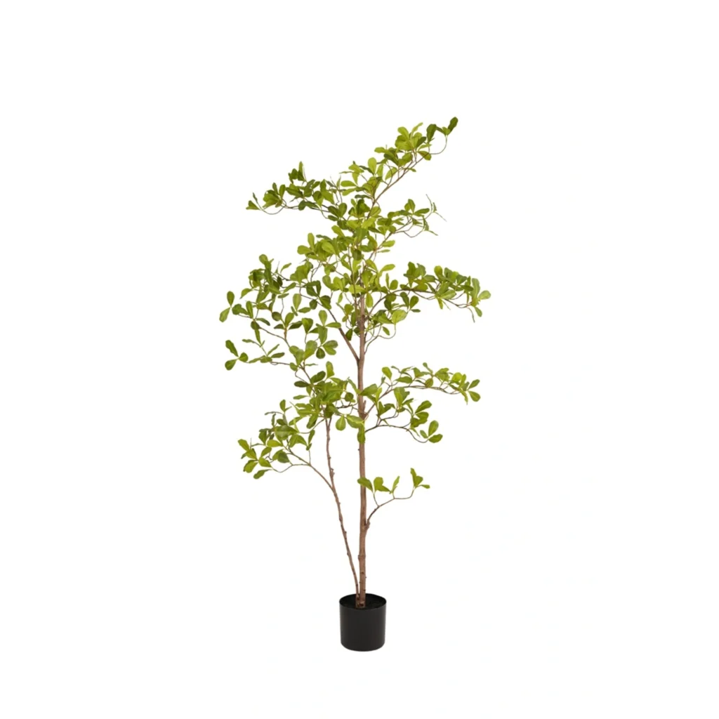 Kunstig Terminalia træ H: 145 cm.