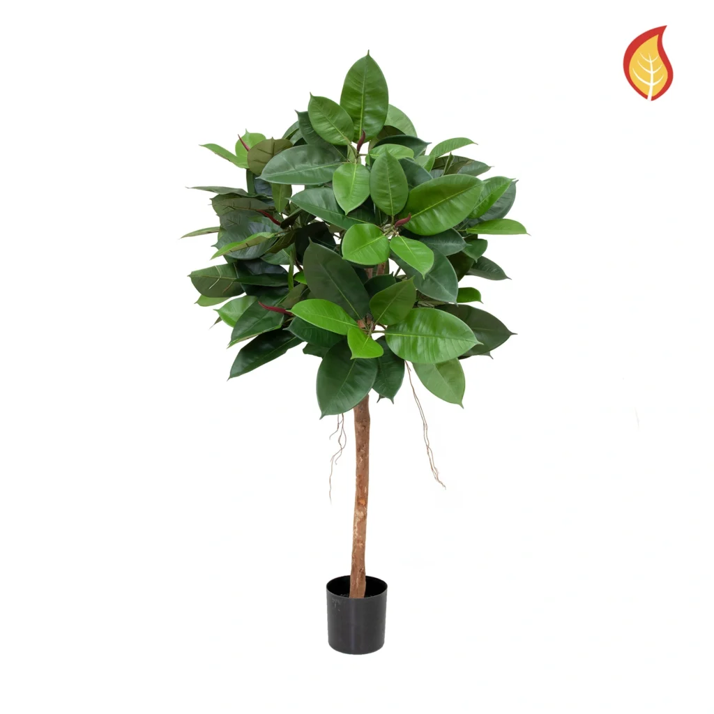 Kunstig Gummitræ FR H: 90 cm.