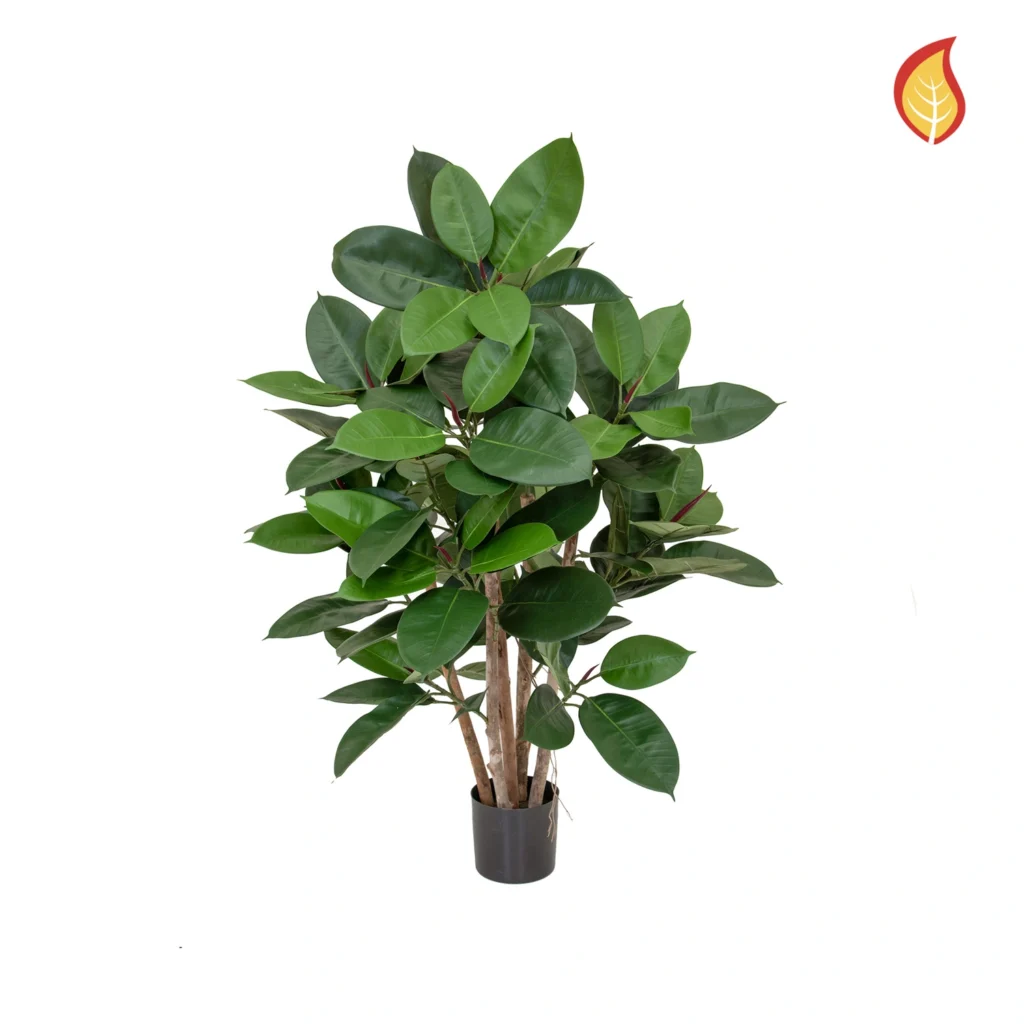 Kunstig Ficus Elastica Robusta FR H:60 cm.