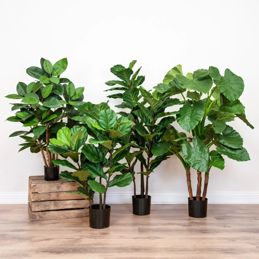 Kunstig Ficus Elastica Robusta FR H:60 cm.