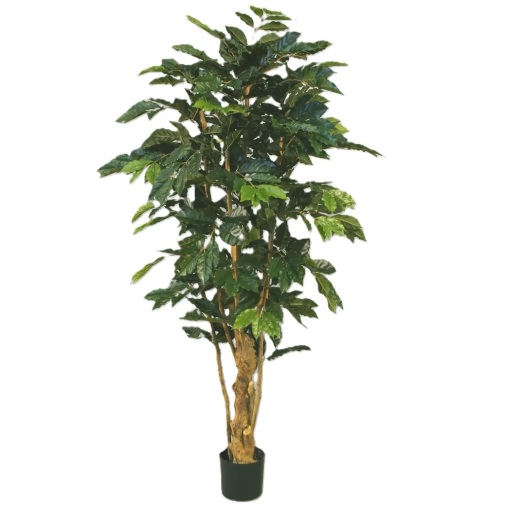 Kunstig Kaffetræ H: 170 cm.