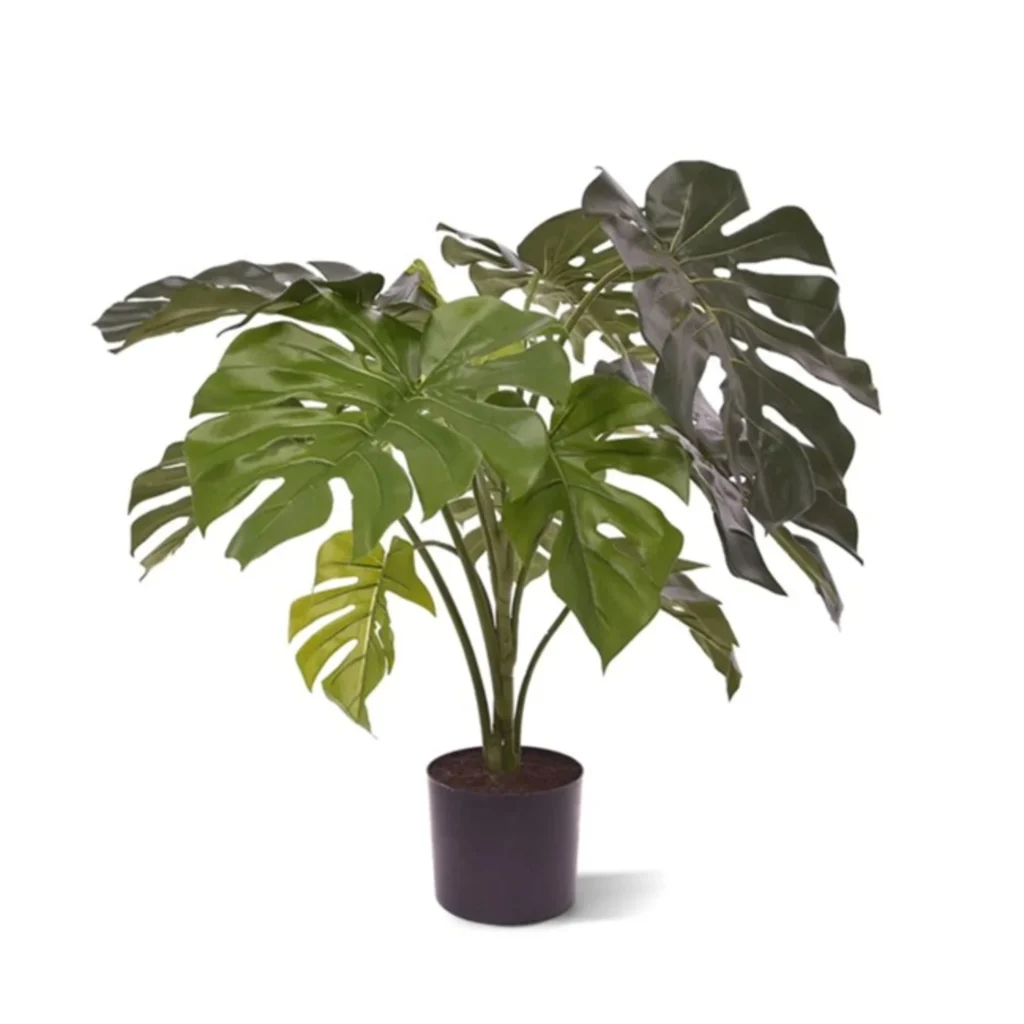 Kunstig Monstera Deliciosa H: 80 cm.