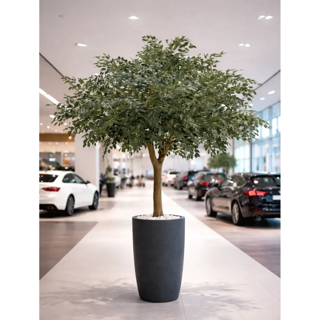kunstig Ficus Exotica træ H:350 cm.