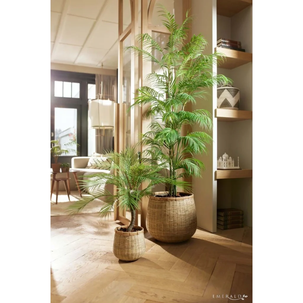 Kunstig Areca palme H: 180 cm.