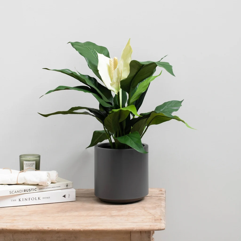 Kunstig Spathiphyllum FR H: 53 cm.