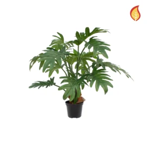 Kunstig Philodendron H: 43 cm.