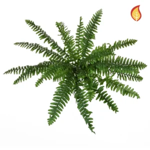 Kunstig Boston Bregne FR H: 58 cm.