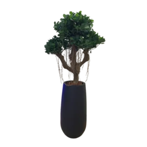 Kunstig Ficus Panda - H: 110 cm.