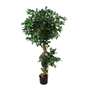 Kunstig Ficus Retusa spiral H: 140 cm.