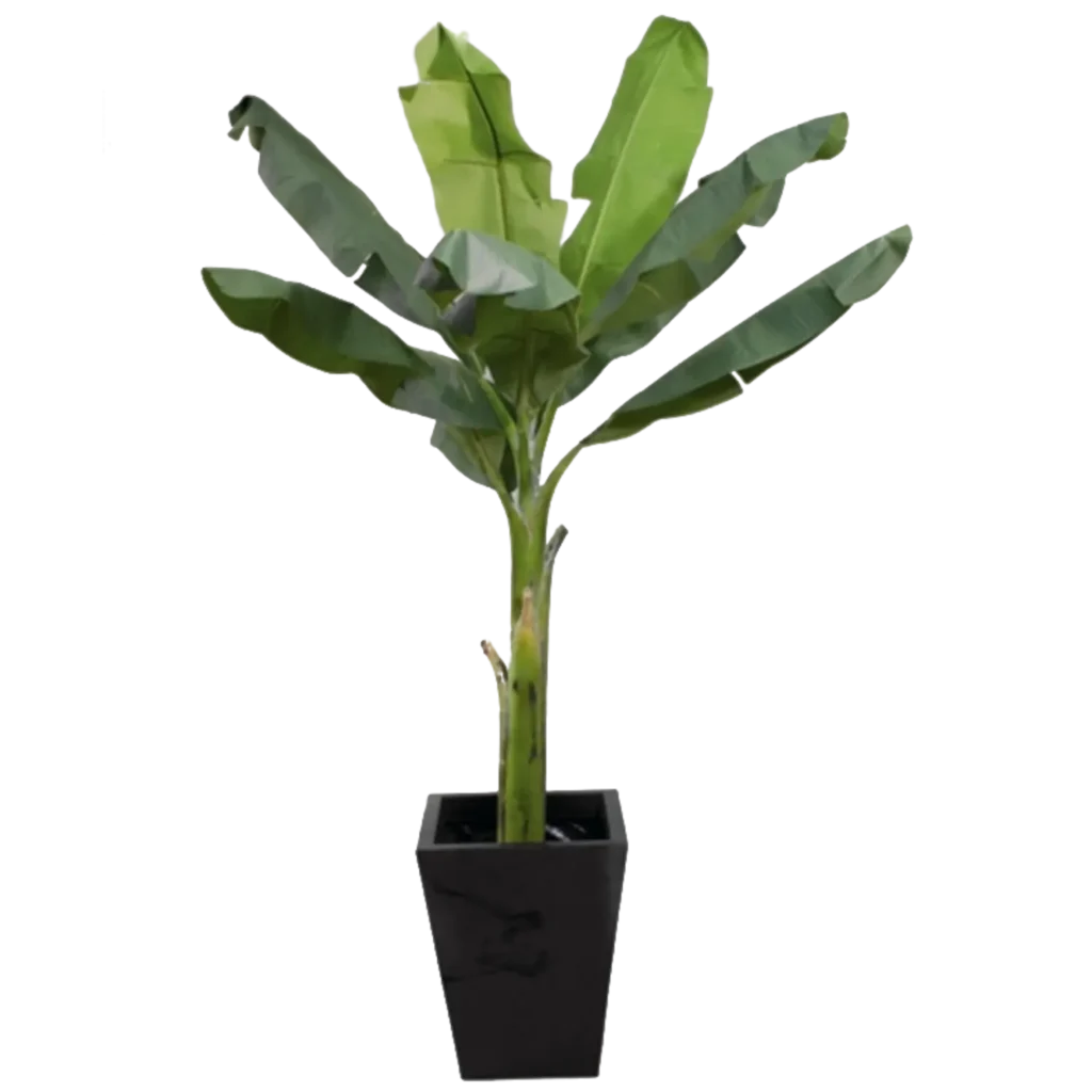 Kunstig banan palme - H: 210 cm.