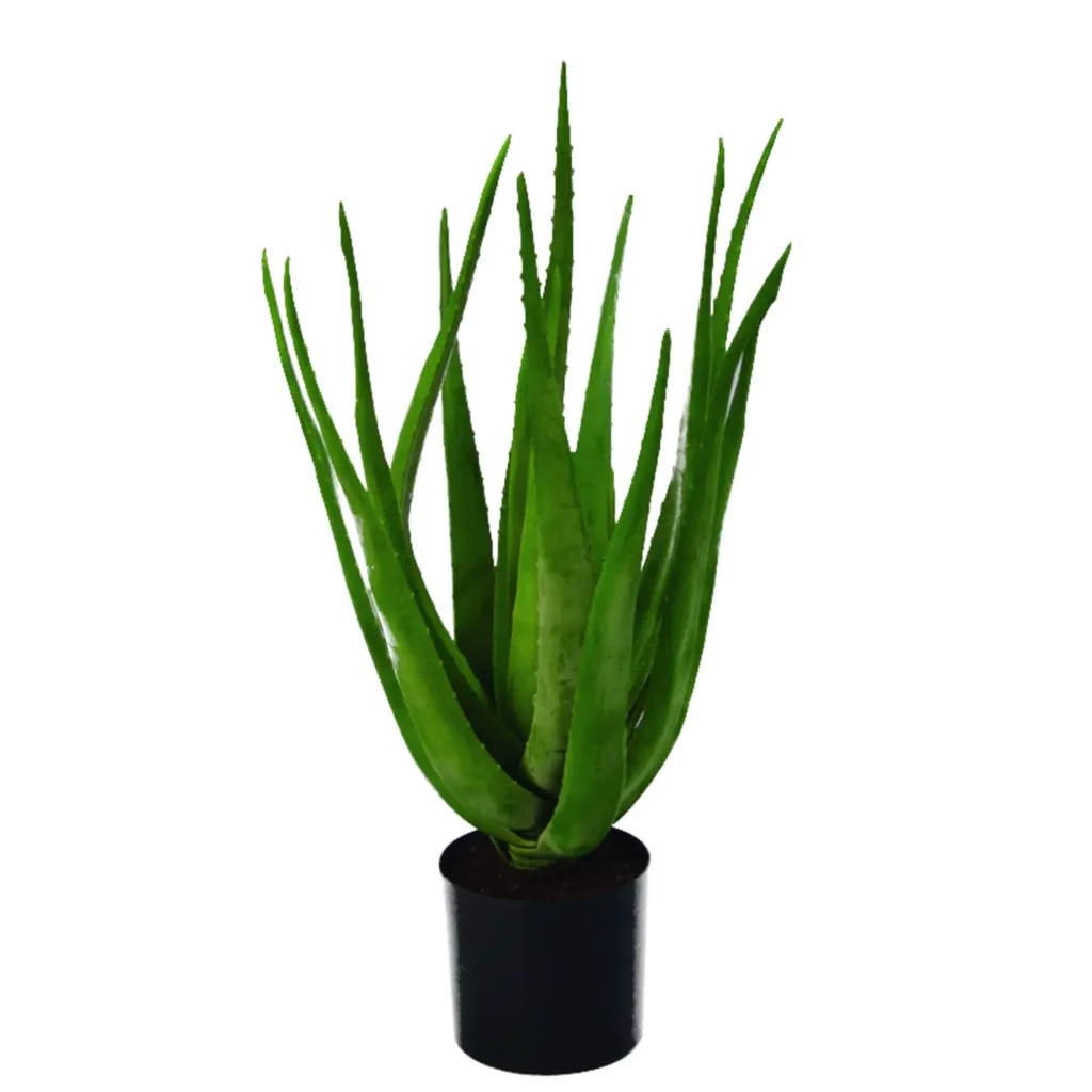 Kunstig Aloe Vera H: 60 cm.