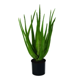 Kunstig Aloe Vera H: 60 cm.