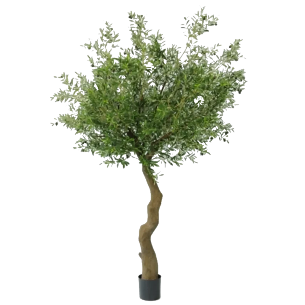 Kunstig oliventræ - H: 240 cm.