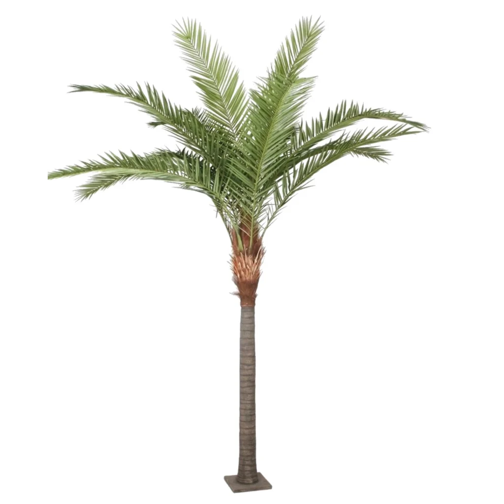 Kunstig Phöenix Canarie H: 320 cm.