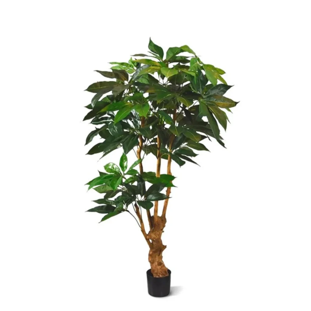 Kunstig Schefflera H: 165 cm.
