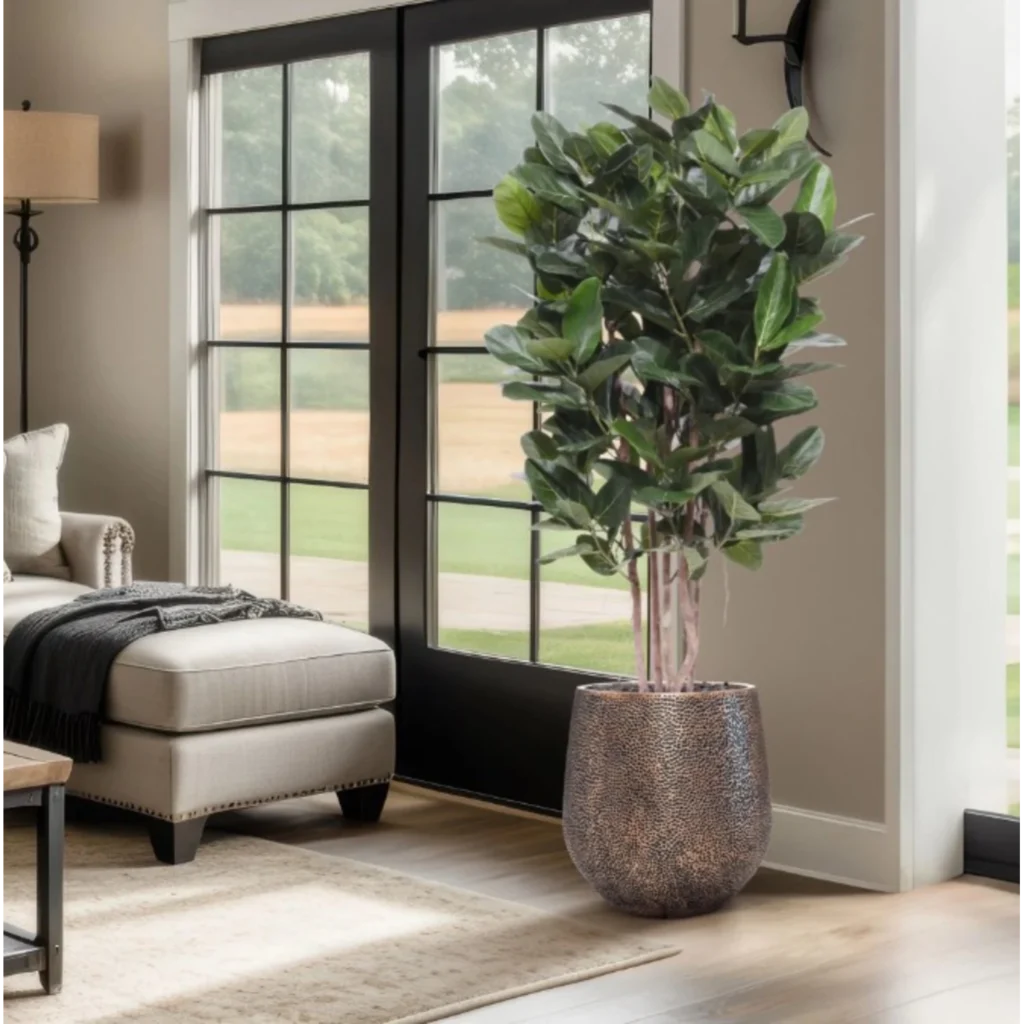 Kunstig Ficus Audrey 155 cm.