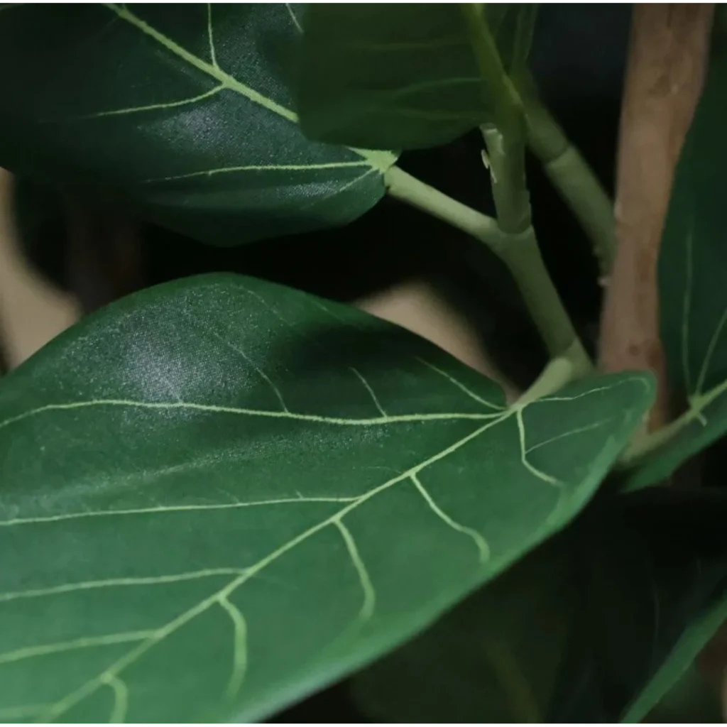 Kunstig Ficus Audrey 155 cm.
