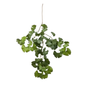 Kunstig Gingko stilk FR - L: 60 cm.