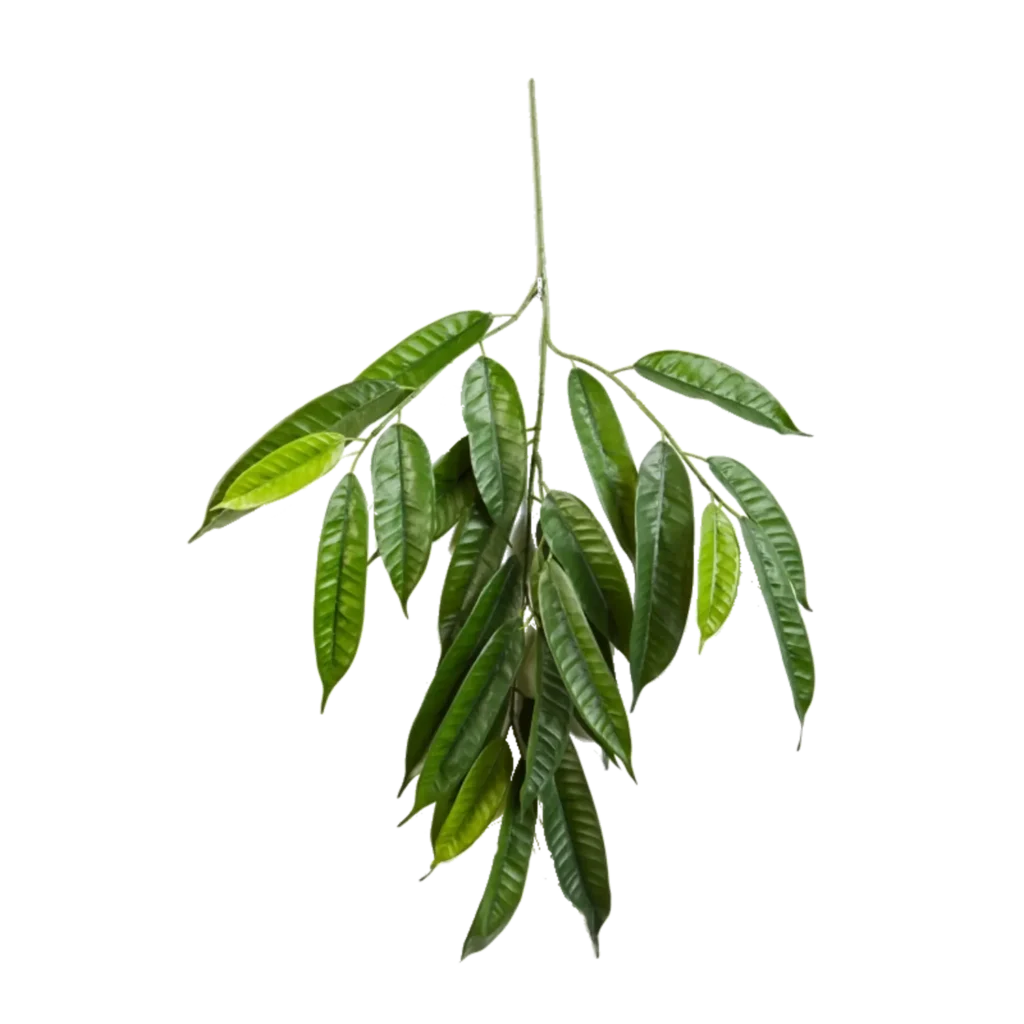 Kunstig Longifolia gren FR - L: 70 cm.