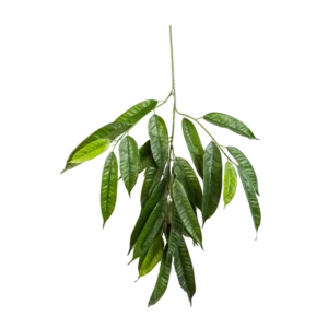 Kunstig Longifolia gren FR - L: 70 cm.