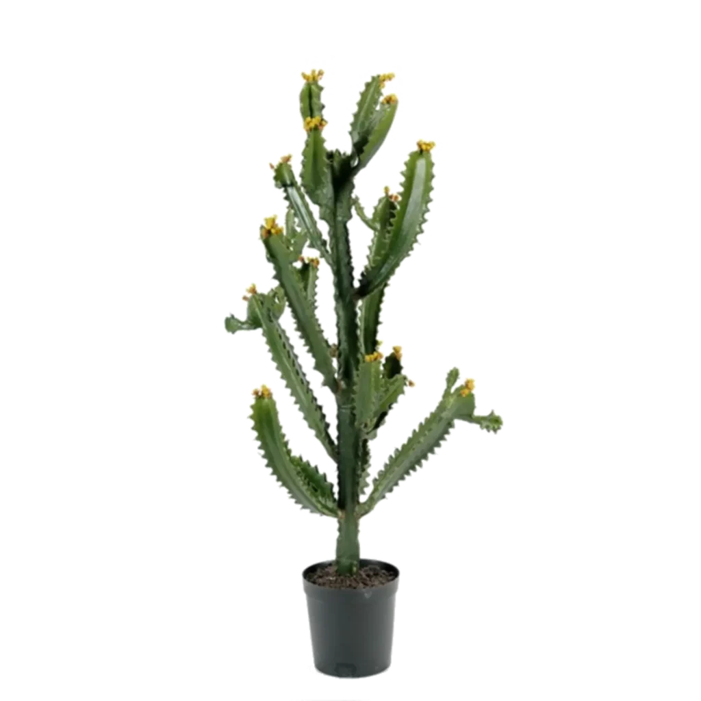 Kunstig Finger Kaktus H: 95 cm.