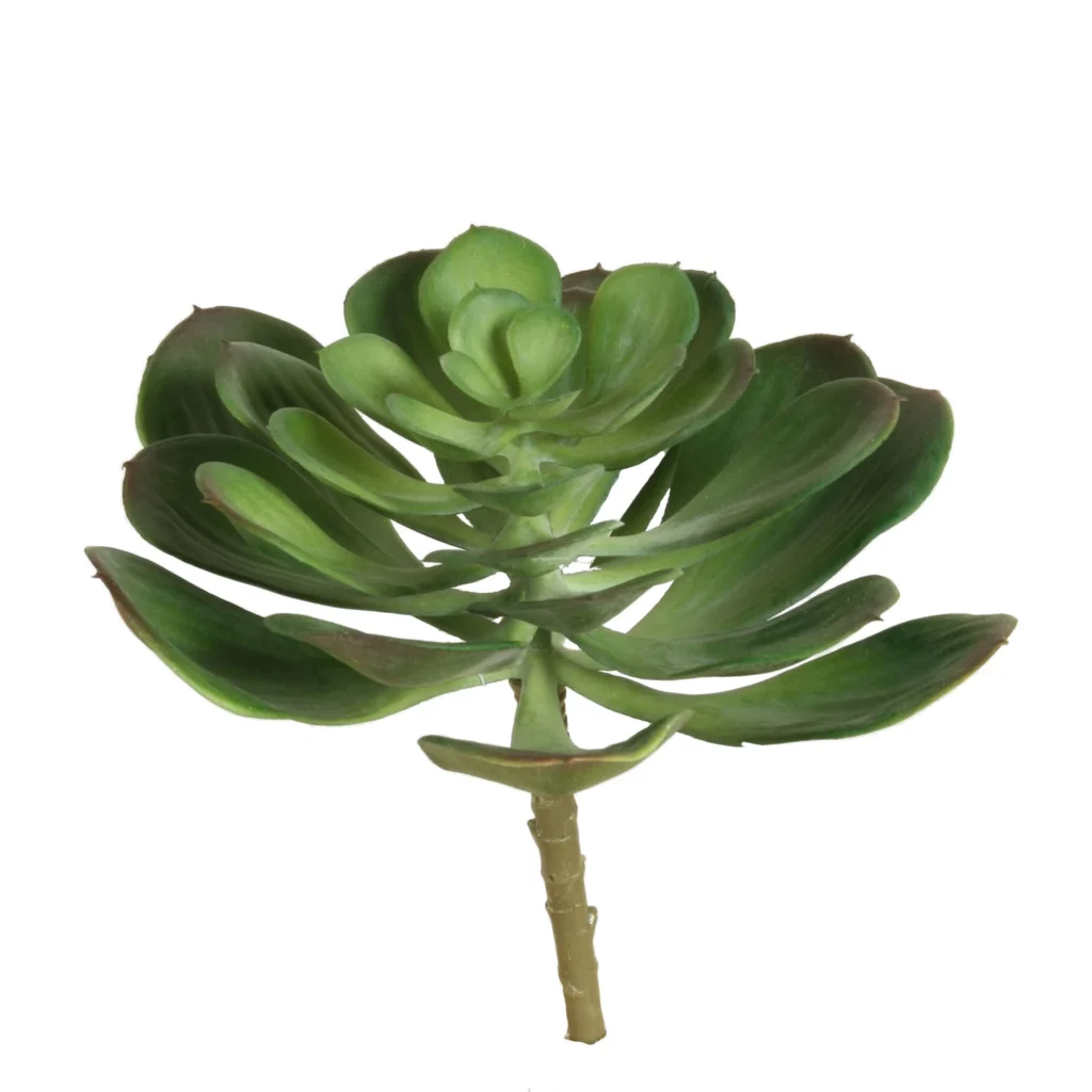 Kunstig Echeveria H: 18 cm.