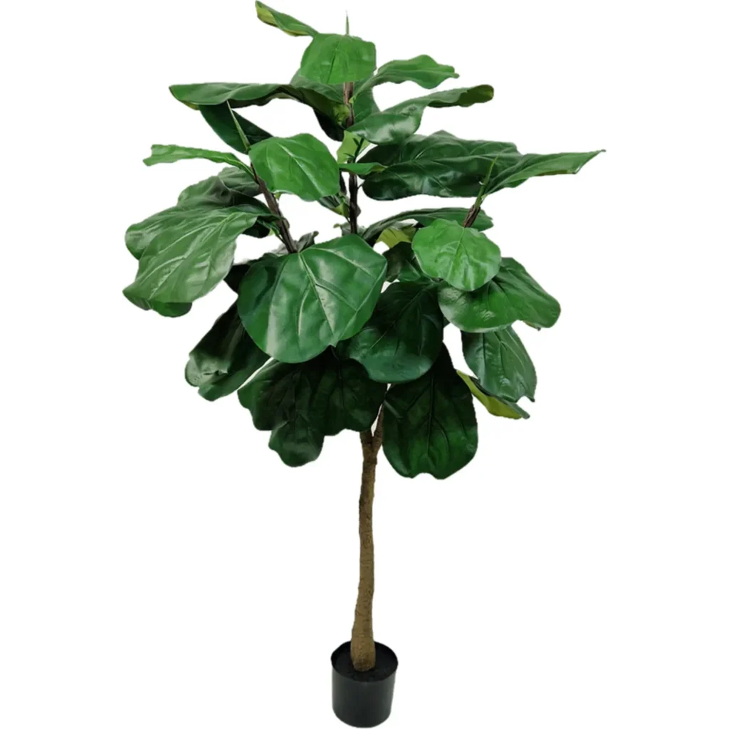 Kunstig Ficus Lyrata UV H: 150 cm.