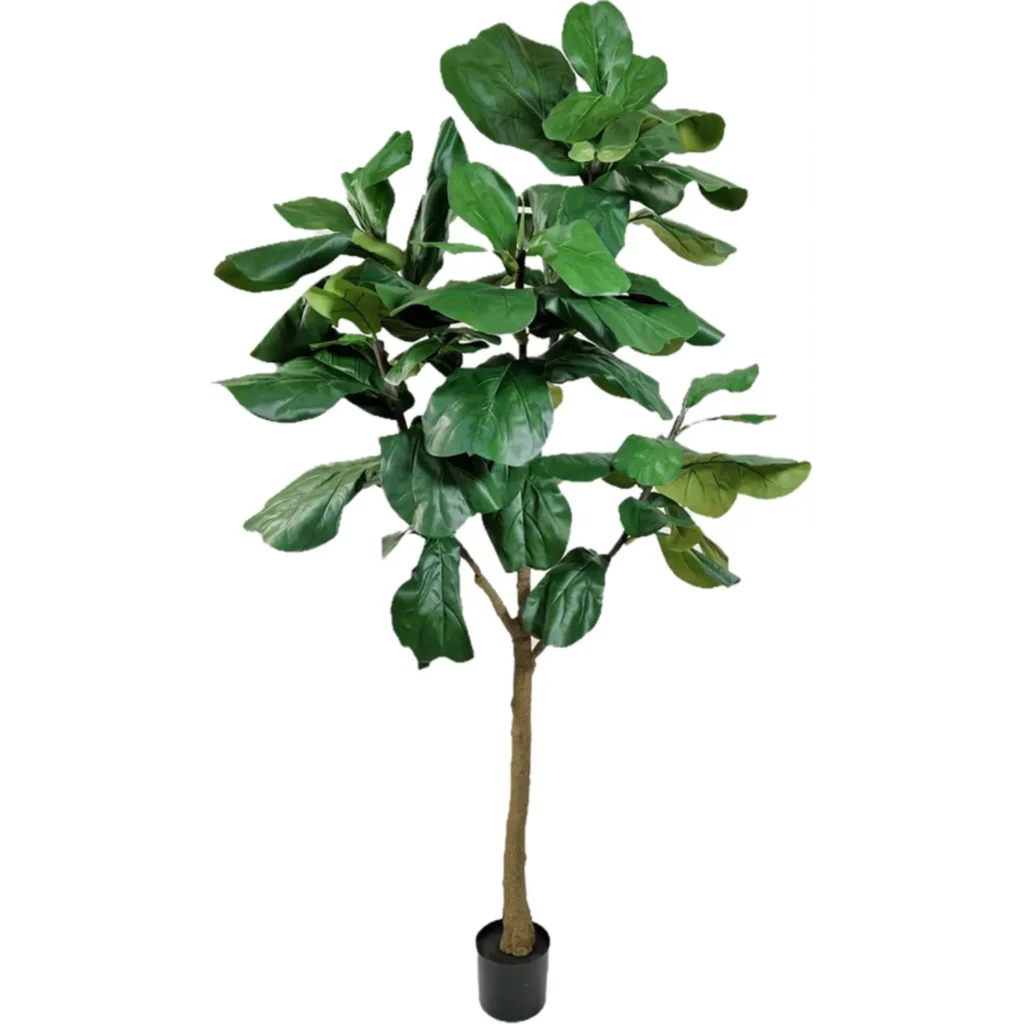 Kunstig violinfigen træ UV H: 210 cm.