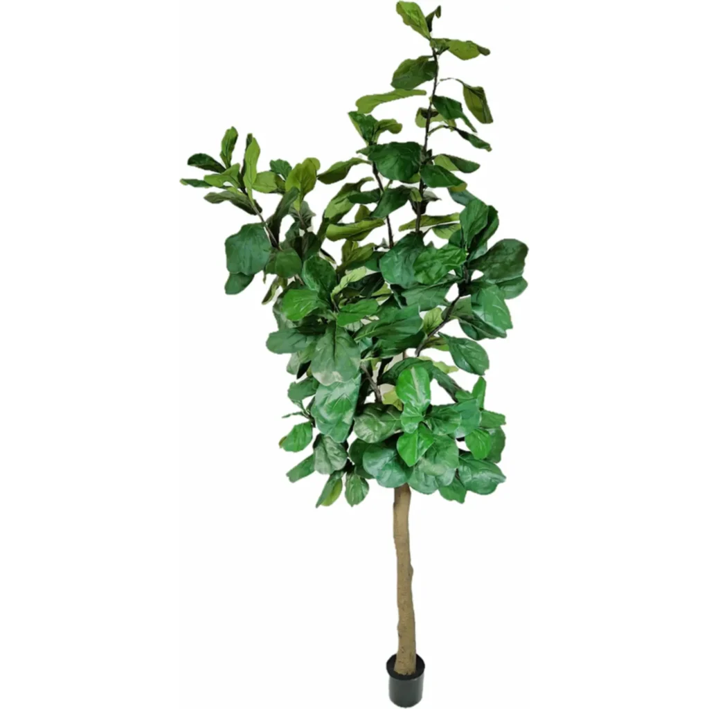 Kunstig Violinfigen UV H: 300 cm.