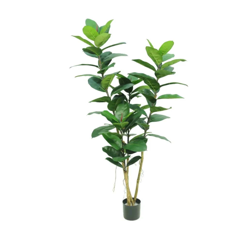 Kunstig gummiplante træ - H: 170 cm.
