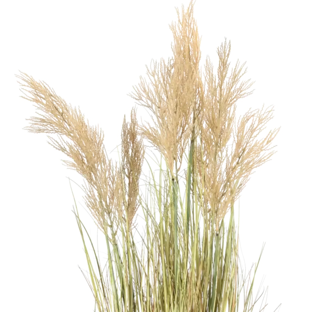 Closeup af Kunstig Miscanthus græs H: 120cm.