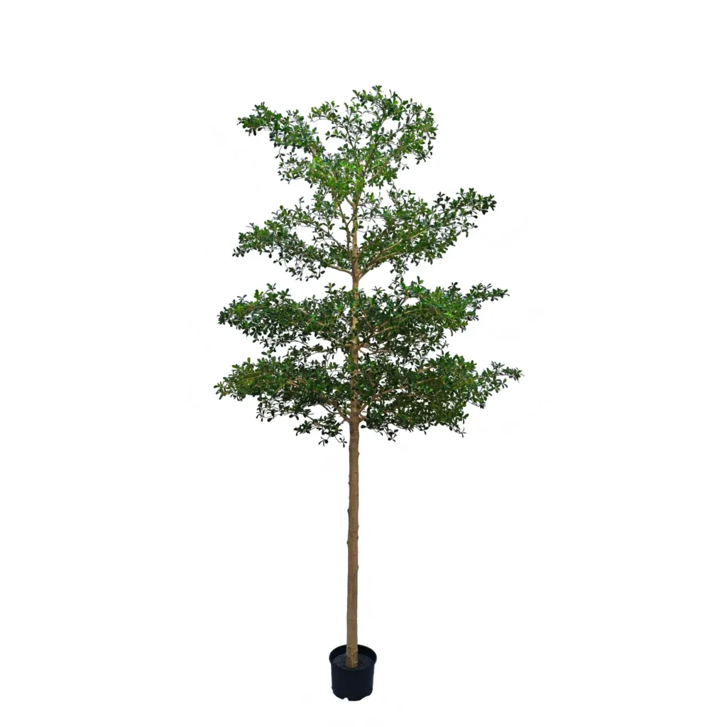Kunstig Bucida buceras 400 cm.