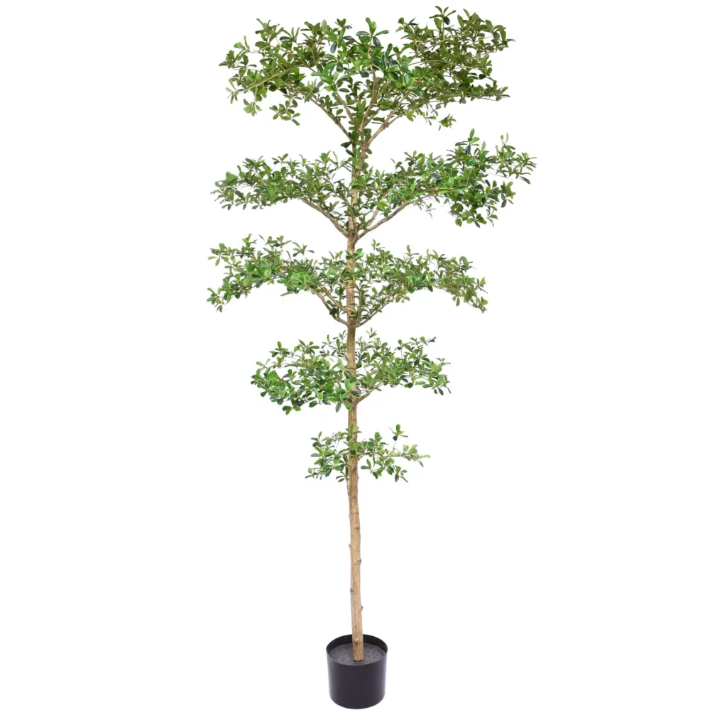 Kunstig Bucida buceras 240 cm.