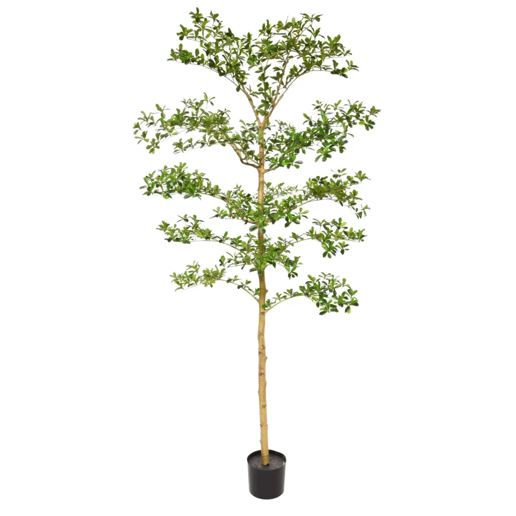 Kunstig Bucida buceras 210 cm.