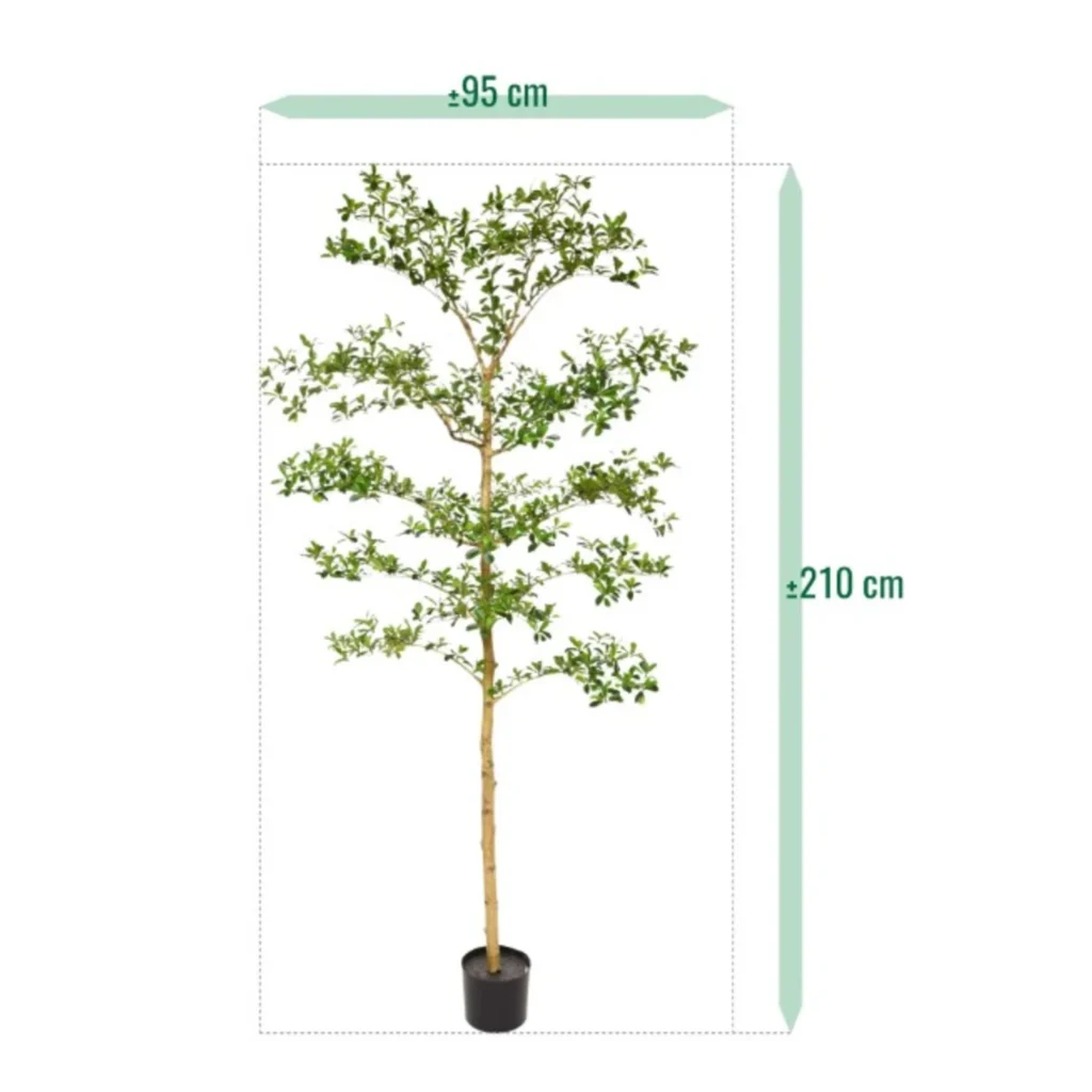 Kunstig Bucida buceras 210 cm.