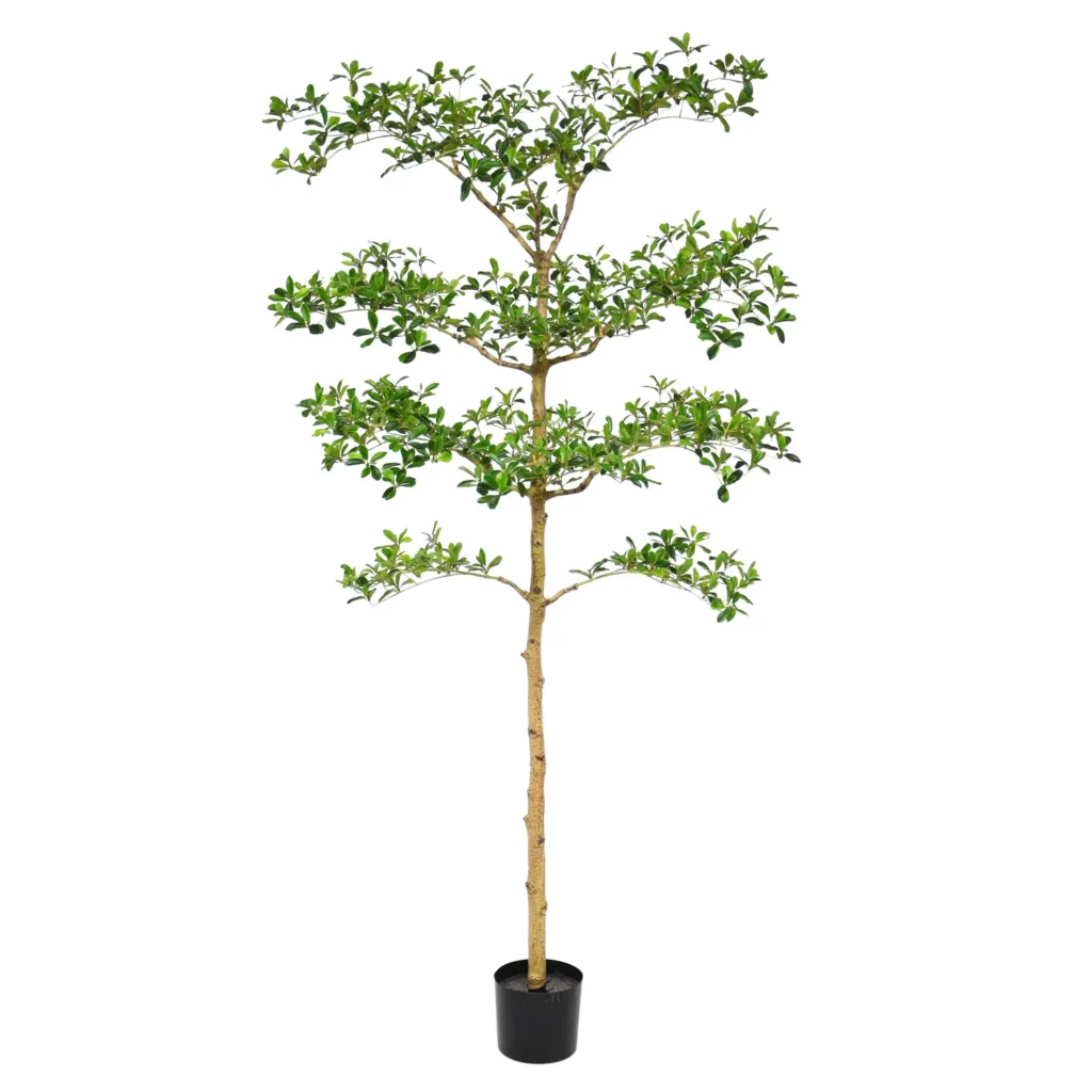 Kunstig Bucida buceras 180 cm.