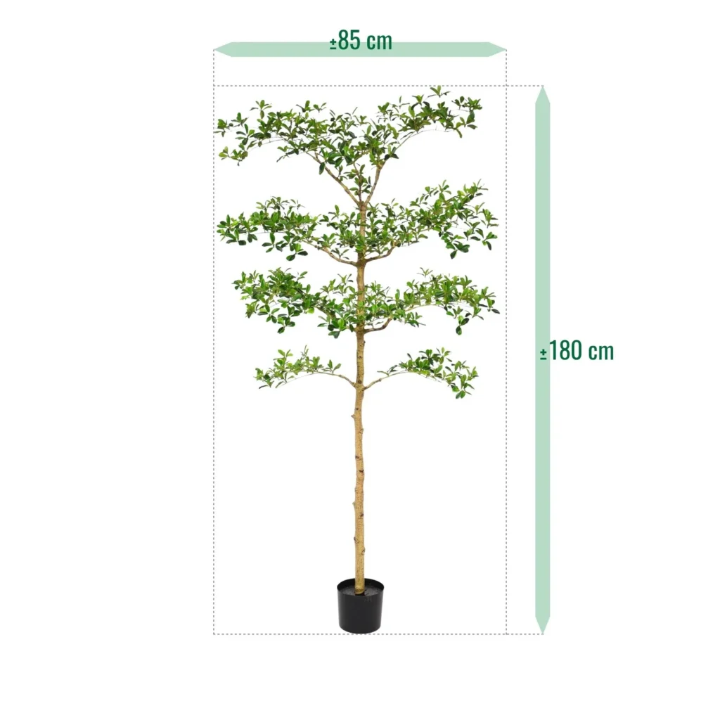 Kunstig Bucida buceras 180 cm.
