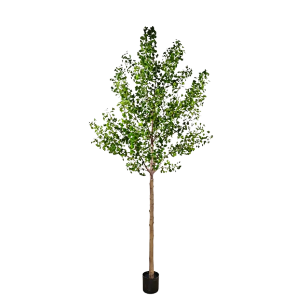 Kunstig Ginkgo biloba H: 360 cm.