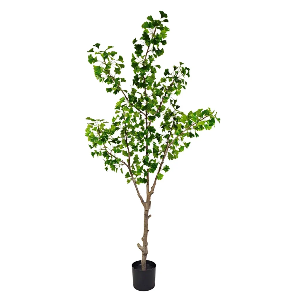 Kunstig Ginkgo biloba H: 180 cm.