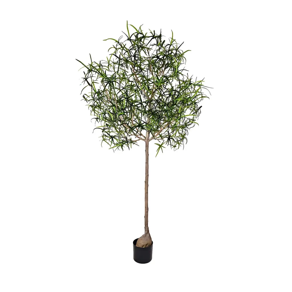 Kunstigt Brachychiton rupestris H: 240 cm.