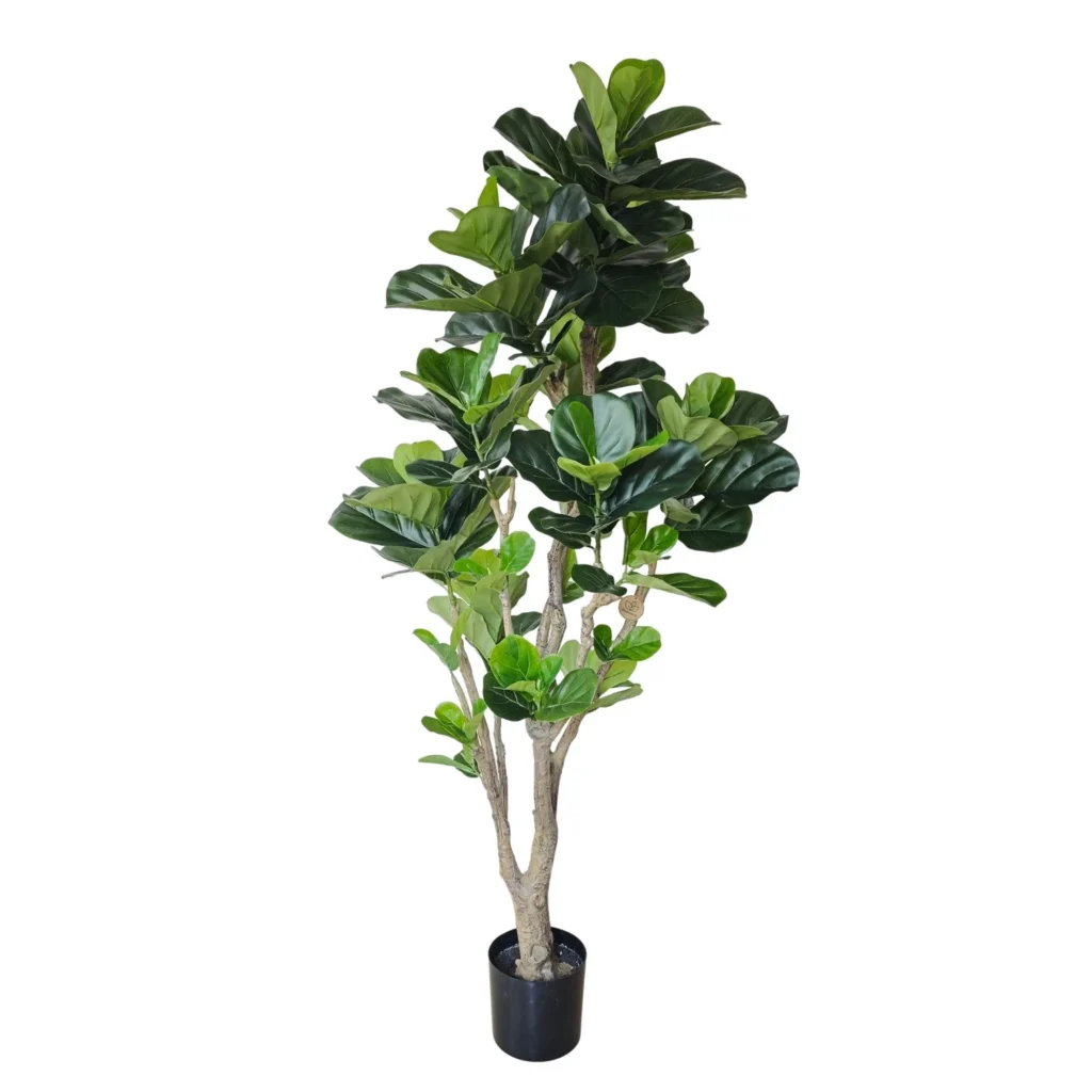 Kunstig Ficus Lyrata H: 180 cm.