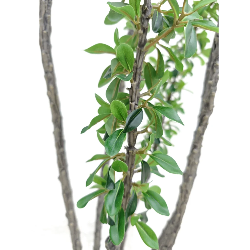 Kunstig Madagascar ocotillo 180 cm.