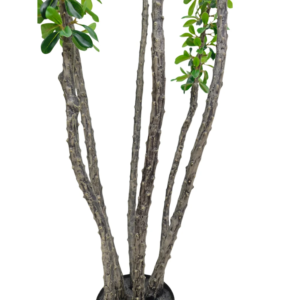 Kunstig Madagascar ocotillo 180 cm.