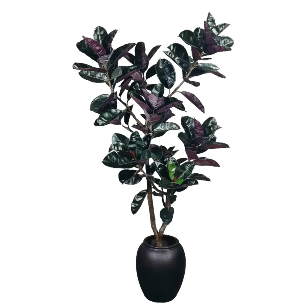 Kunstig Ficus elastica H: 190 cm.