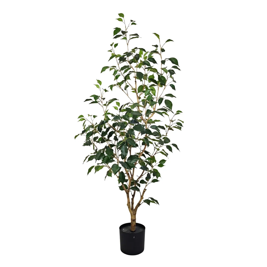 Kunstig Ficus Retusa H: 120 cm.